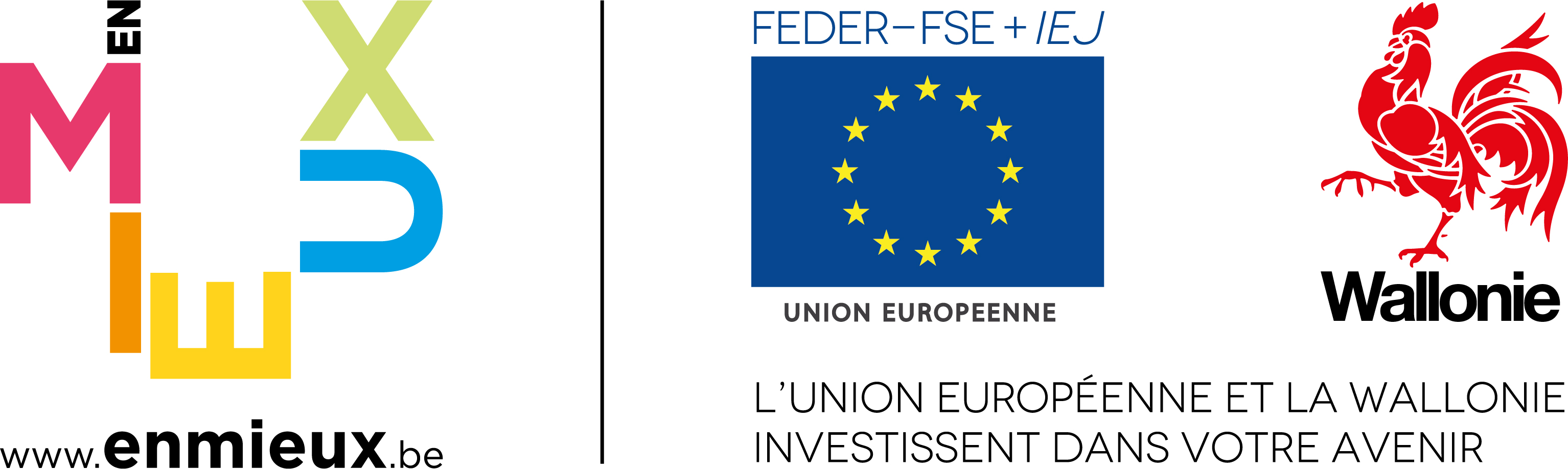 Logo FSE